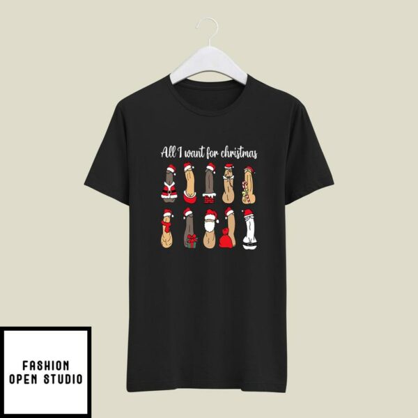 All I Want For Christmas Is Penis T-Shirt