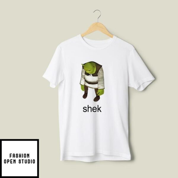 Shrek Shek Sad T-Shirt