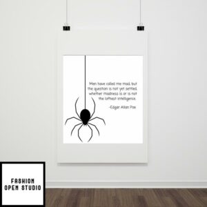 Edgar Allan Poe Quote Man Have Called Me Mad Poster