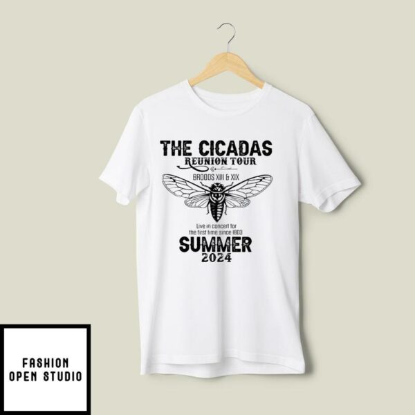 Cicadas Reunion Tour Broods XIII And XIX Summer 2024 T-Shirt