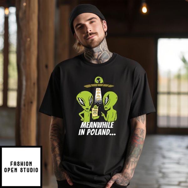 Alien Abduction Pierogi Polish Meanwhile In Poland T-Shirt