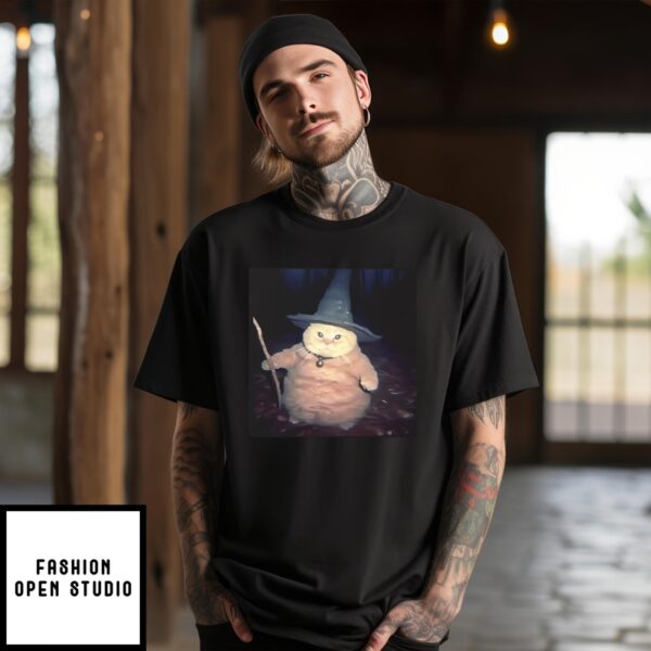 Cheeseball The Wizard Cat Meme T-Shirt