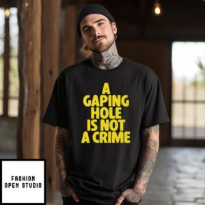A Gaping Hole Is Not A Crime T-Shirt