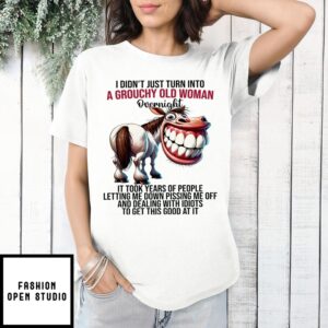 Goofy T-Shirtth I Didn’T Just Turn Into A Grouchy Old Woman Overnight T-Shirt