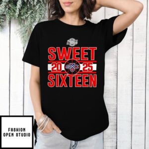 Saint Mary’s Gaels 2025 Sweet 16 NCAA Tournament March Madness 2025 T-Shirt