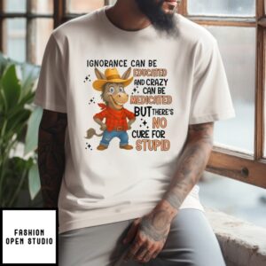 Ignorance Can Be Educated And Crazy Can Be Medicated But There’S No Cure For Stupid T-Shirt
