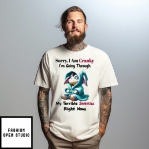 Eeyore Sorry I Am Cranky I’M Going Through My Terrible Seventies Right Now T-Shirt