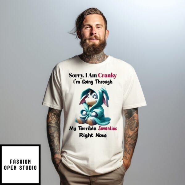 Eeyore Sorry I Am Cranky I’M Going Through My Terrible Seventies Right Now T-Shirt