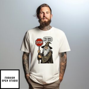 Wizard Stop You Shall Not Pass T-Shirt