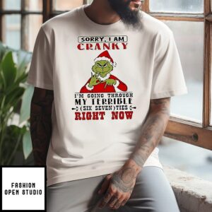 Grinch Santa Sorry I Am Cranky I’m Going Through My Terrible Six Seven Ties Right Now T-Shirt