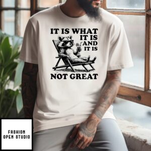Raccoon It Is What It Is And It Is Not Great T-Shirt