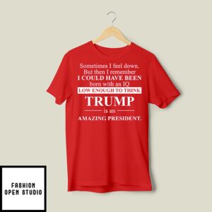 Sometimes I Feel Down But Then I Remember Iq Low Trump T-Shirt