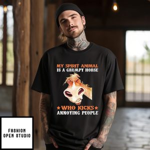 My Spirit Animal Is A Grumpy Horse Who Kicks Annoying People T-Shirt